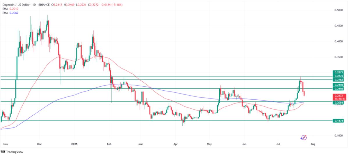 Why is Dogecoin price going down today. Source: Tradingview.com