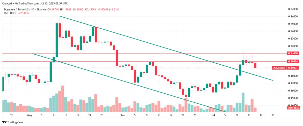 Why is Dogecoin price going down today? Source: Tradingview.com