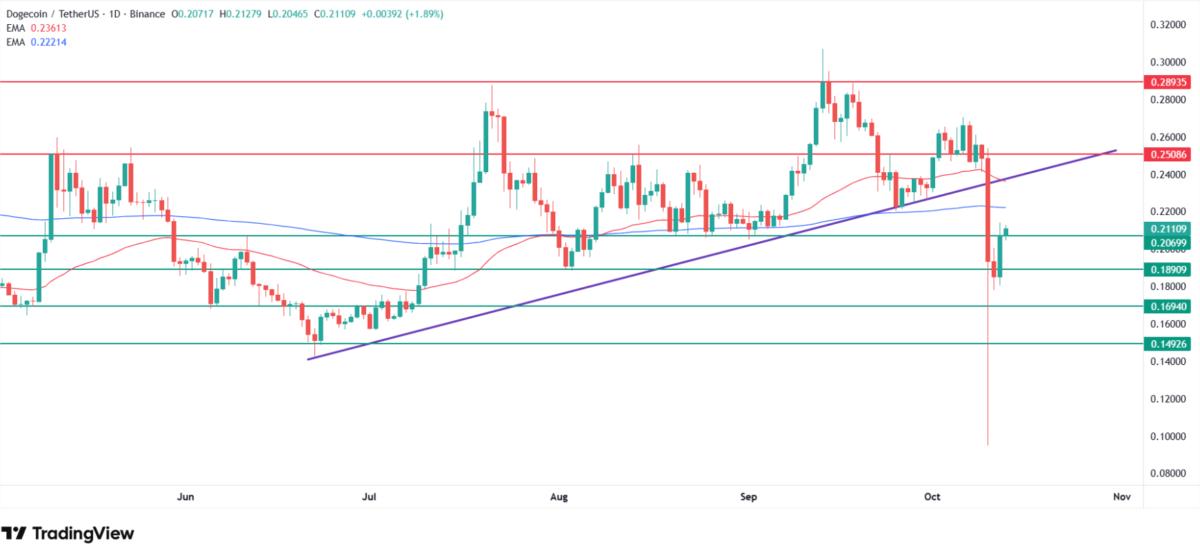 Why Dogecoin price is going up today? Source: Tradingview.com