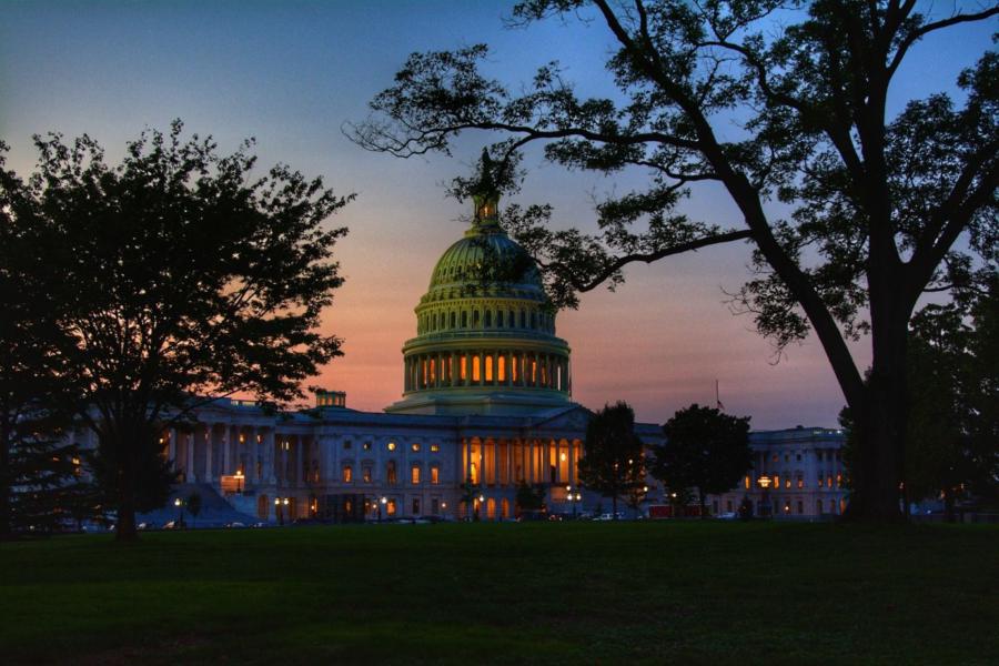 us politicians loaded up on palantir stock