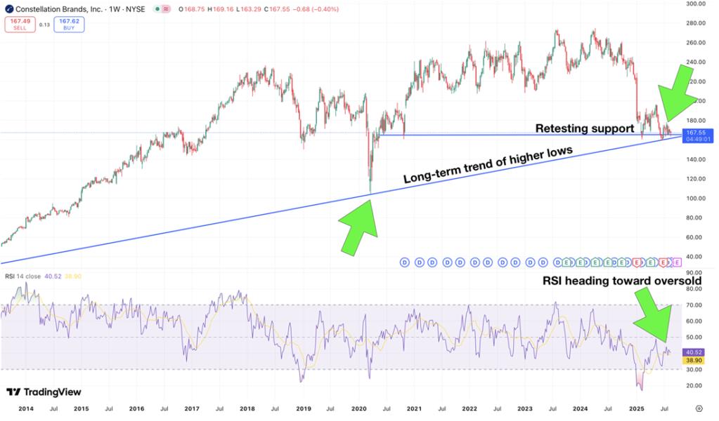 STZ stock chart