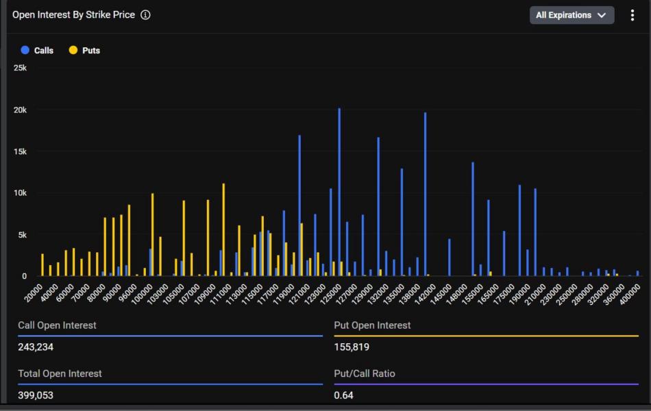 Bitcoin put options concentrated at $110,000 and $100,000 levels
