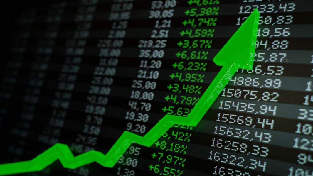 Asset Management Companies