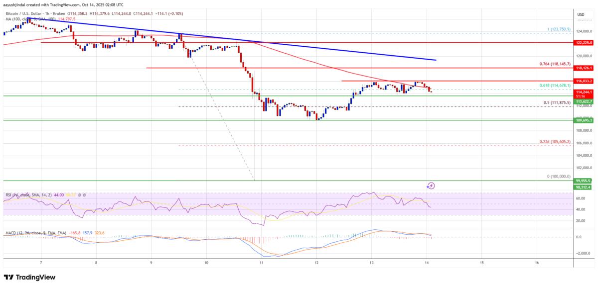⚠️CRIPTOVALUTE: Investitori nel mercato delle opzioni si preparano a nuovi cali di Bitcoin ed Ethereum dopo l'ondata di margin calls