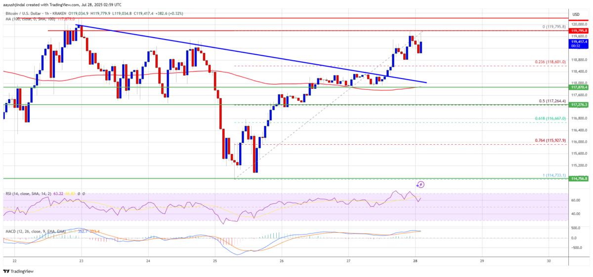 🟨"Bitcoin in crescita: sfida alla resistenza di $120,500"