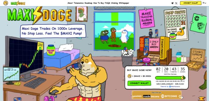 Maxi Doge presale details from the website.