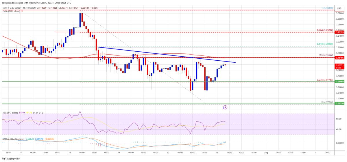 🟨CRYPTO REPORT: "XRP: Tentativo di Ripresa Dopo la Correzione Sotto $3"