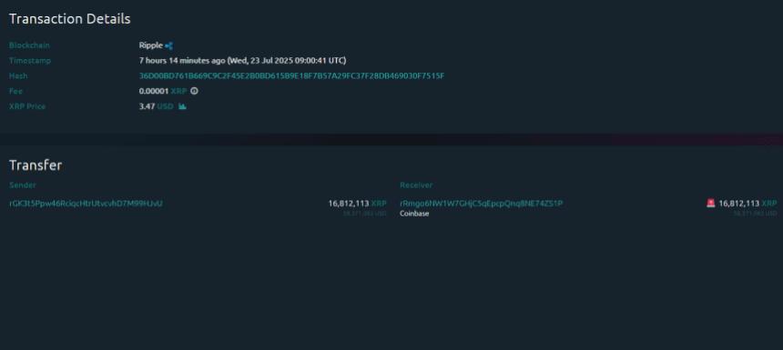 🟨"Investitori Istituzionali Spostano Grandi Quantità di XRP"