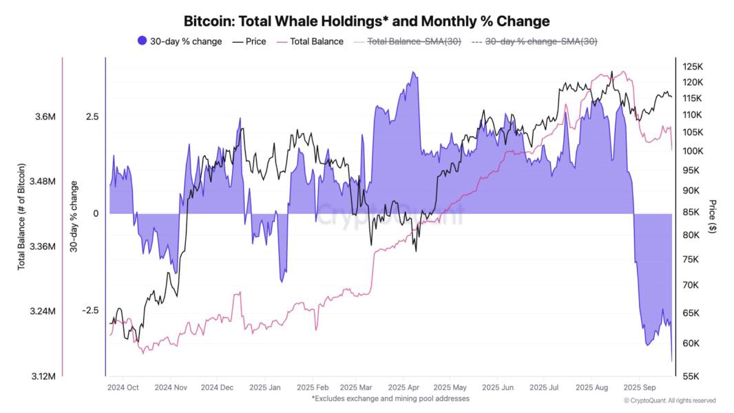 Bitcoin Whale Holdings
