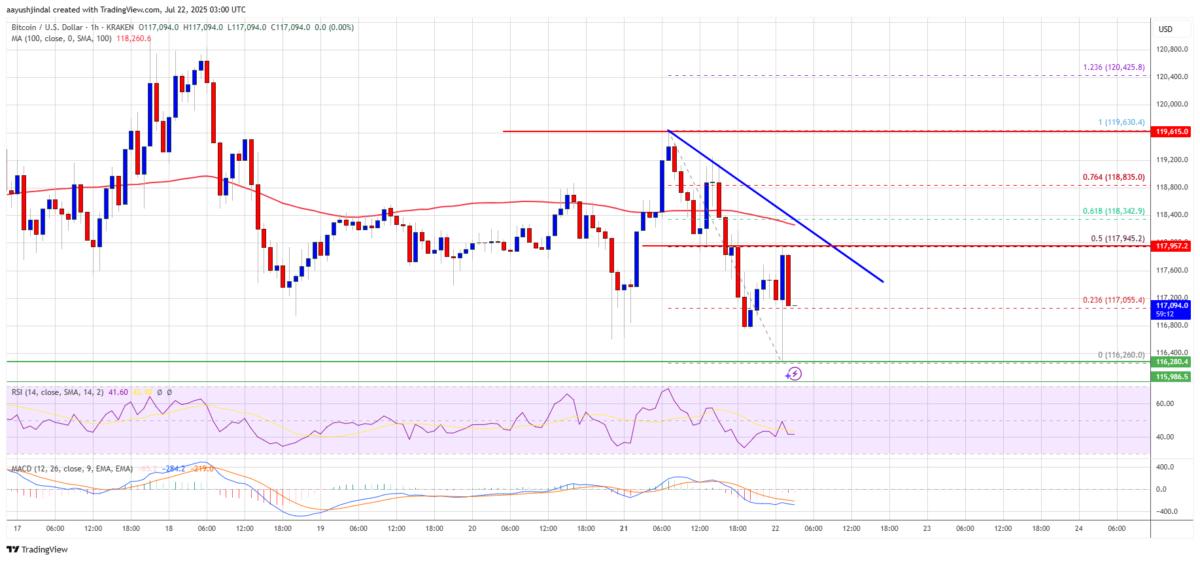 🟨"Bitcoin: consolidamento sotto $118,000 e rischio di correzione"