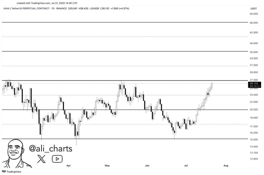 🟨"Aumento del 6,59% per Avalanche (AVAX): Analisi e Previsioni"