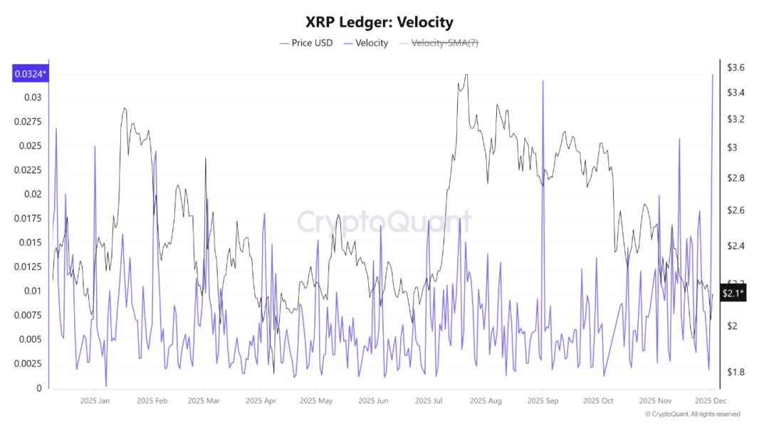 XRP Ledger Velocity | Source: CryptoQuant