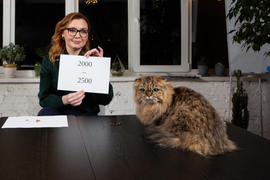 Кошка Джессика предсказала индекс Мосбиржи в диапазоне 2000–2500 пунктов на 2025 год