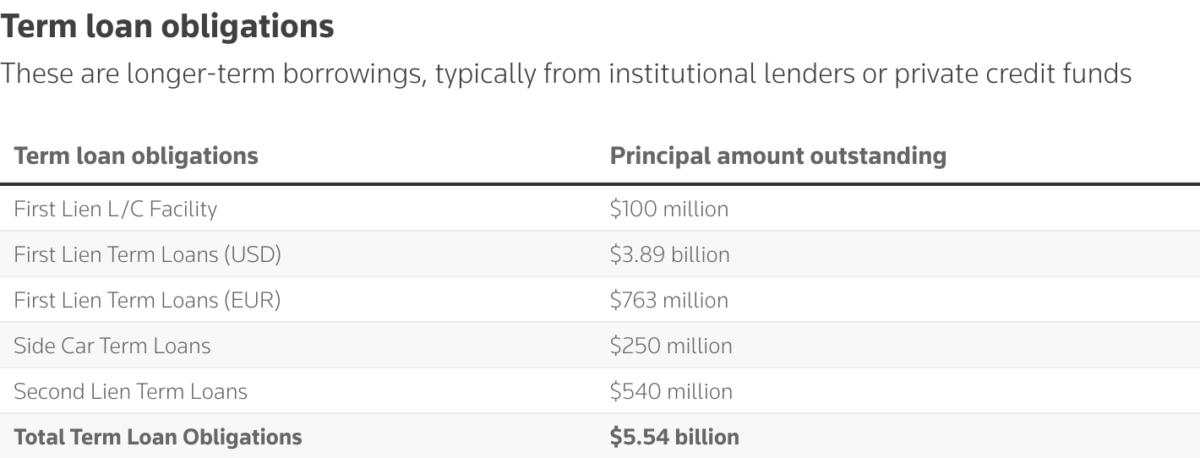 Term loan obligations