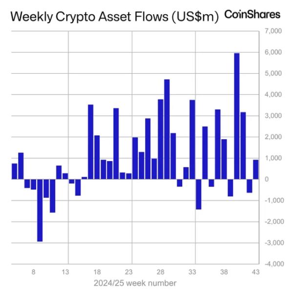 Weekly crypto asset flows. Images: CoinShares.