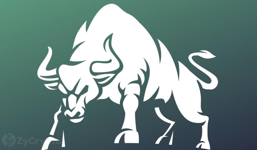 XRP, Ether, Solana, Cardano, Shiba Inu Brace For $1 Trillion 'Bull Shock' As Spot Bitcoin ETF Comes Nigh