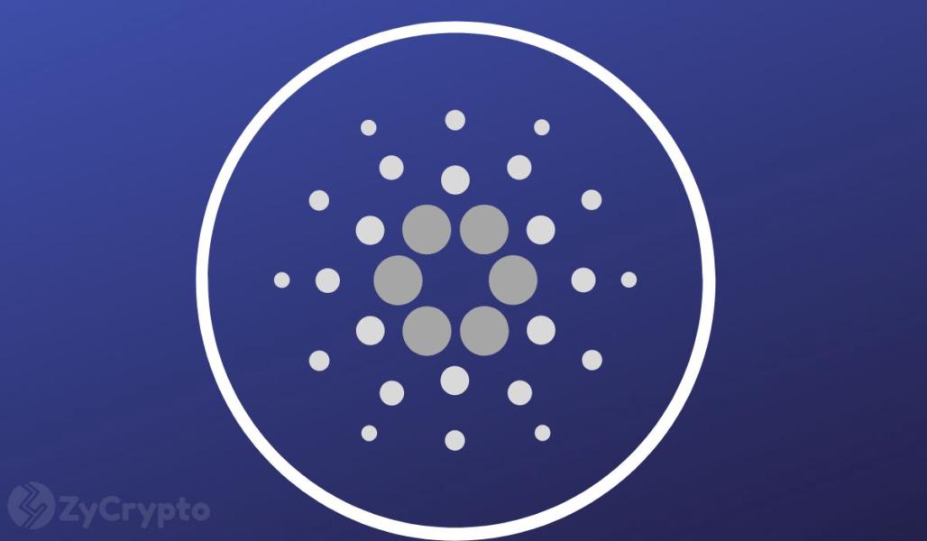 ADA Shows Strong Whale Activity Amid Cardano Becoming the Face of Argentina's First Legitimate Smart Contract