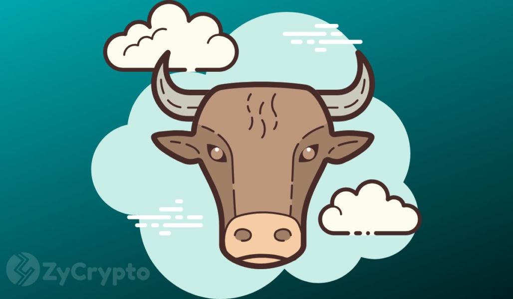 Bitcoin Primed For A Massive Bull Run - Bloomberg Analysts