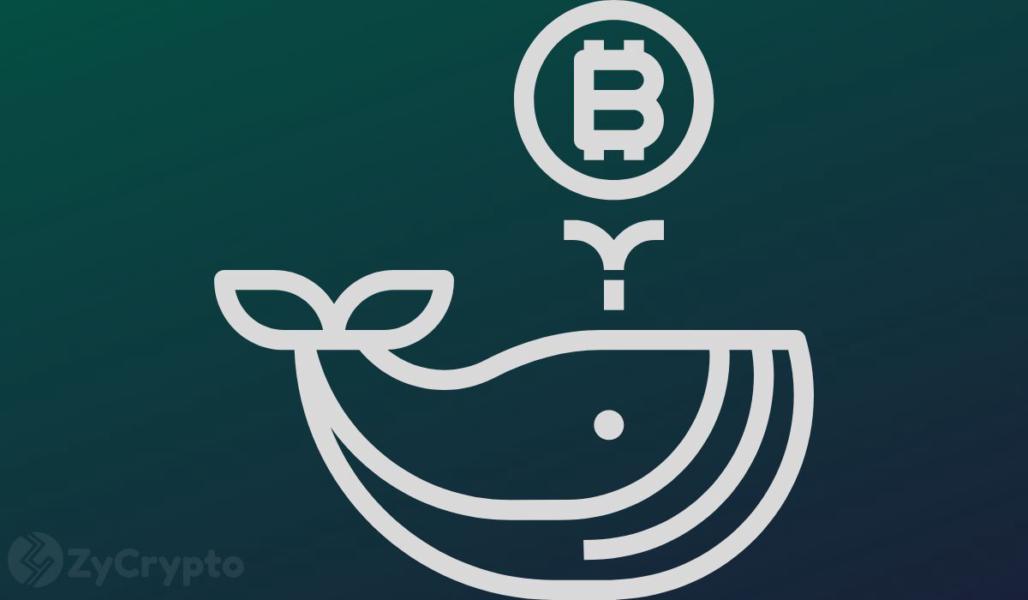 Bitcoin Worth More Than $3.45 Billion Has Exited Crypto Exchanges Amid BTC Whales Going Parabolic