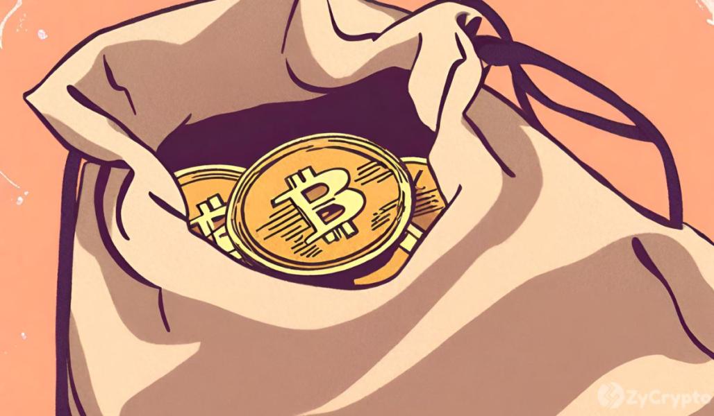 Michael Saylor’s MicroStrategy Now Owns 205,000 BTC After Latest Purchase — Trumping BlackRock’s ETF