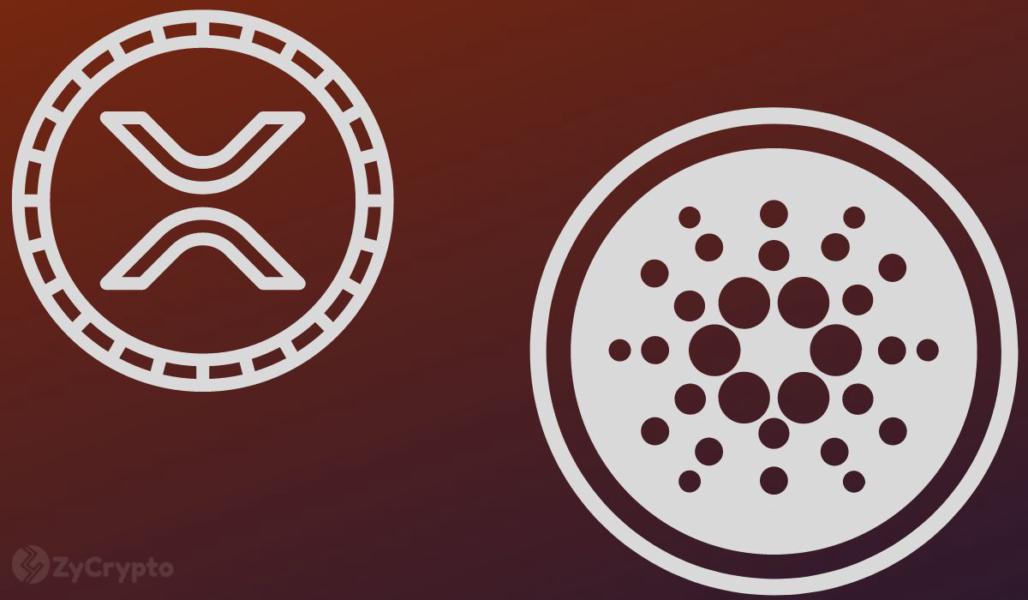 Cardano and XRP Massively Overvalued? Pundit Torches ‘Completely Utterly Useless’ ADA, XRP Markets
