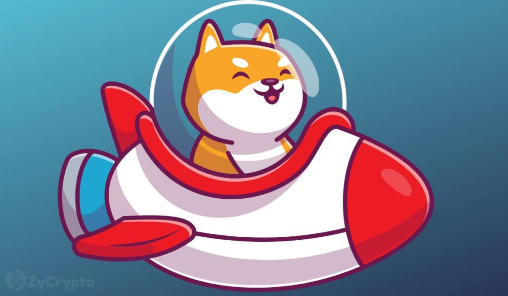 Shiba Inu Community Anticipates Major Updates: Rocket Pond Launch, SHIB Metaverse, and Shibarium Mainnet