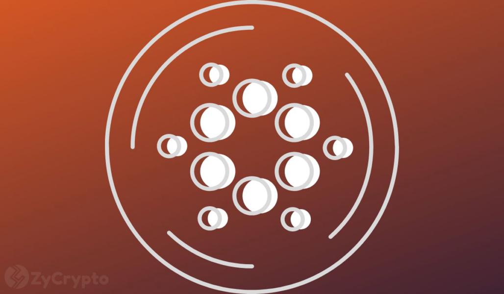 Cardano Price Skyrockets To $45 Or Crashes To $0.2? What To Expect Amid Key ADA Developments