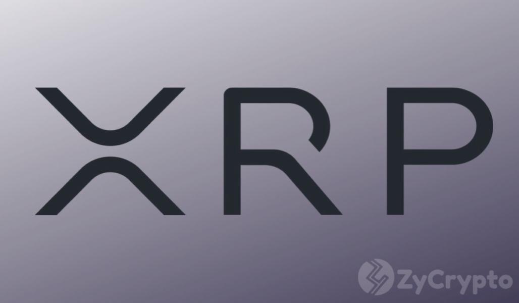 CoinField Unveils Stock and Crypto Asset Trades Via XRP Ledger (XRPL)