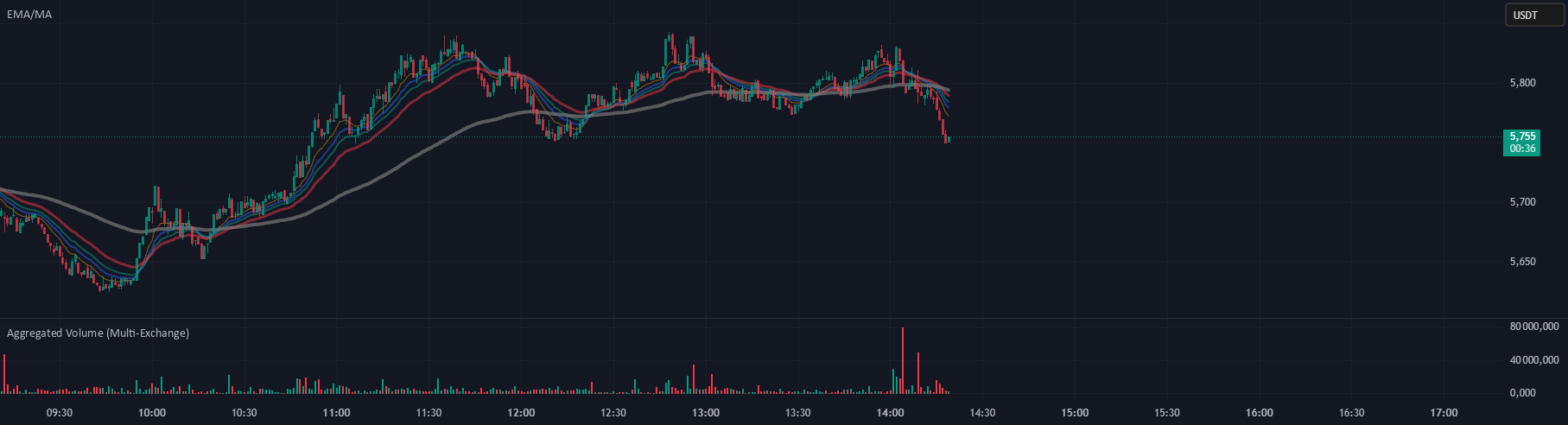 Aggregated Volume (Multi-Exchange) — Indicator by magnatan111 — TradingView