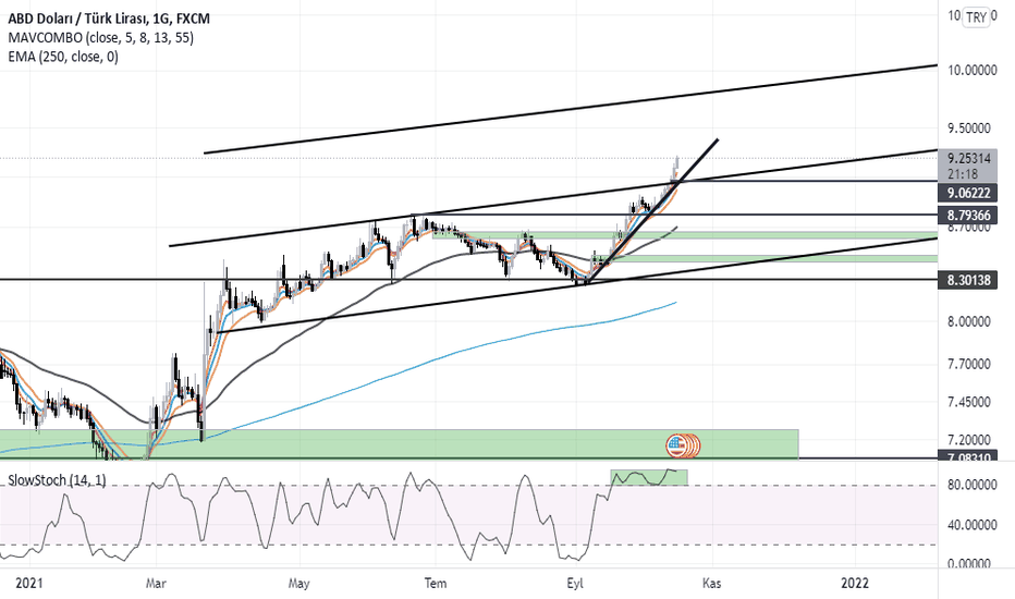 DOLAR TL