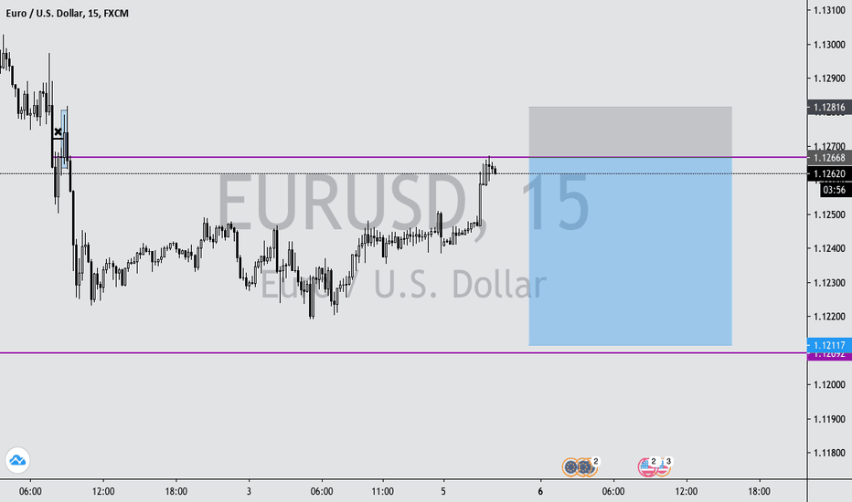 The forex guy
