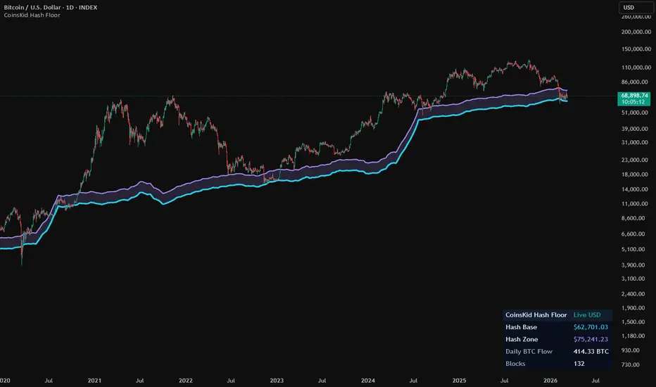 CoinsKid BTC Hash Floor — Indicator by CoinsKid — TradingView