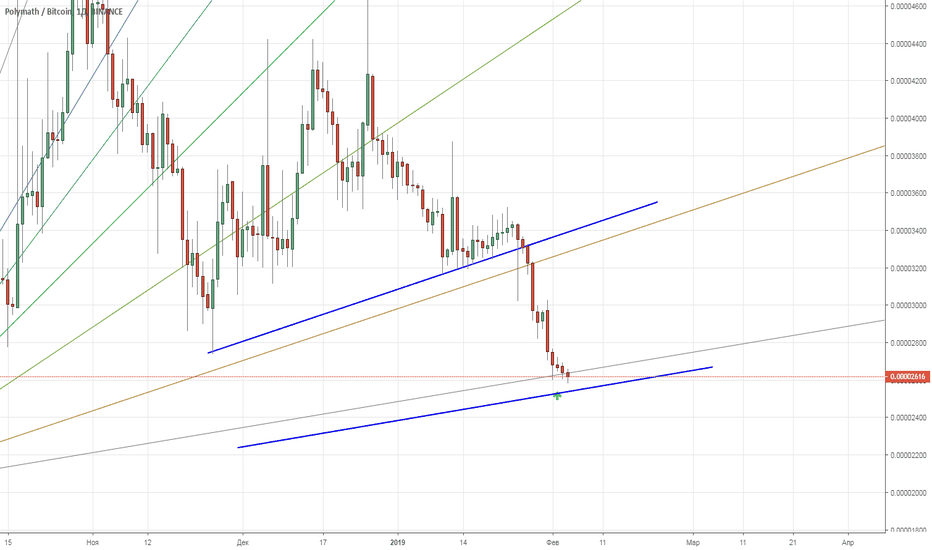 tradingview poly btc