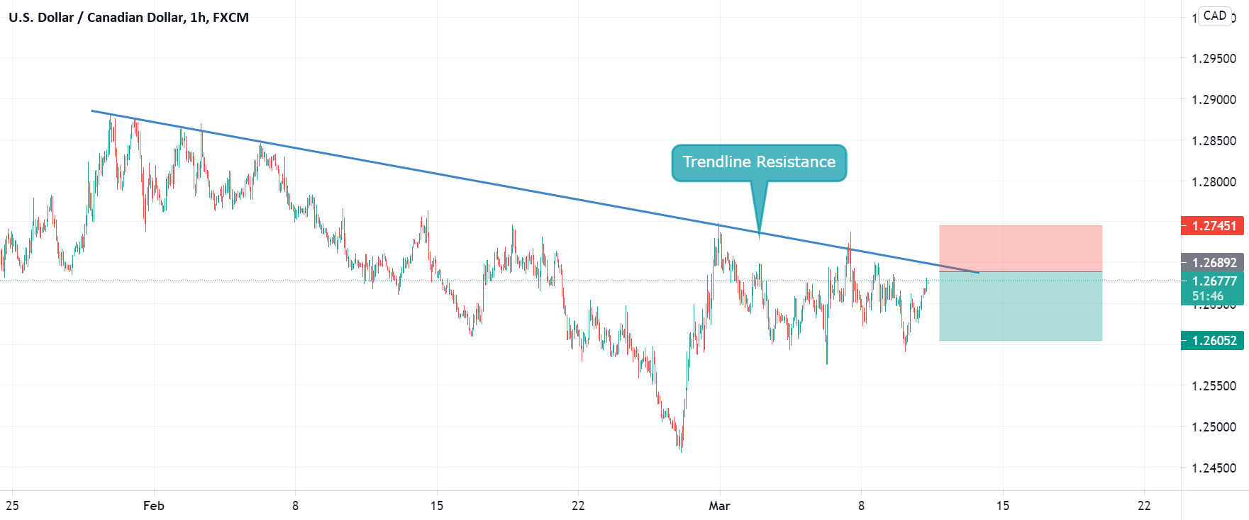 www.tradingview.com