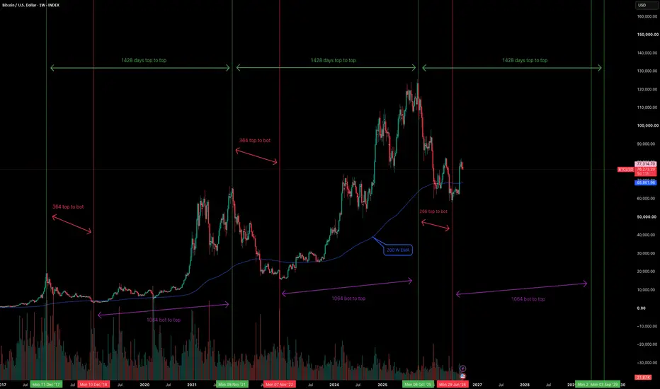 Past cycles as the template