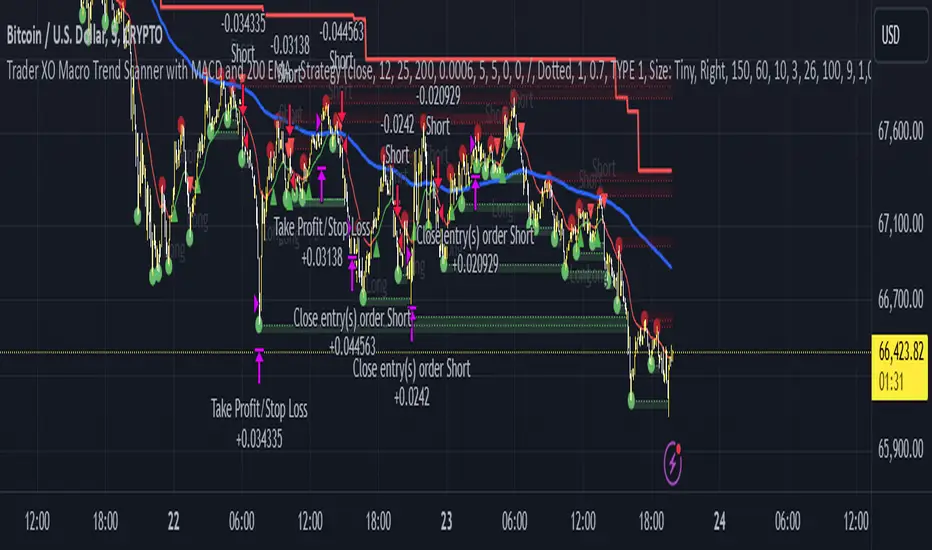 Trader XO Macro Trend Scanner with MACD and 200 EMA Strategy by