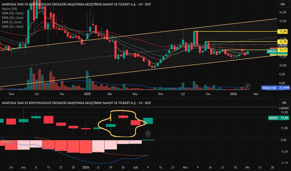 13 Şubat 2026 - ANGEN - Hisse Yorum ve Teknik Analiz - Anatolia Tani ve Biyoteknoloji Urunleri Arastirma Gelistirme Sanayi ve Ticaret AS