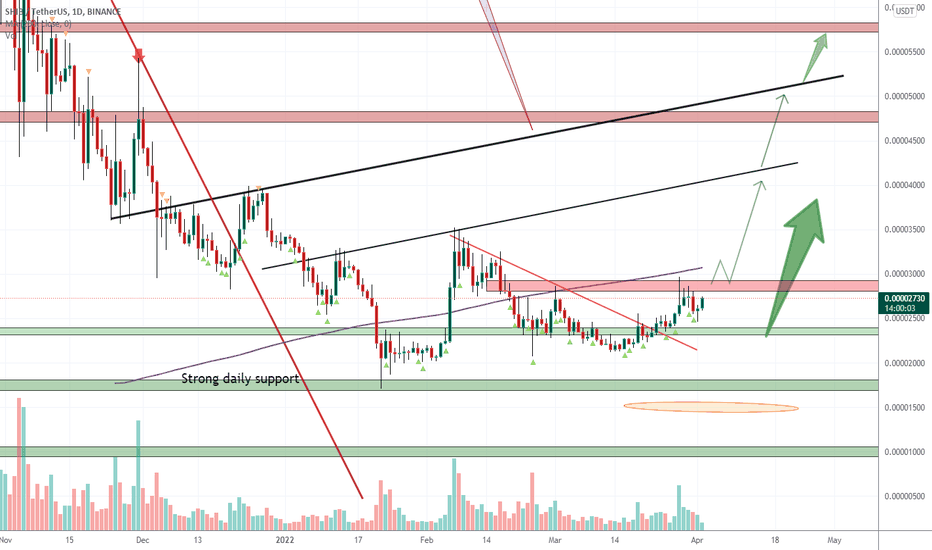t_MMBTtrader