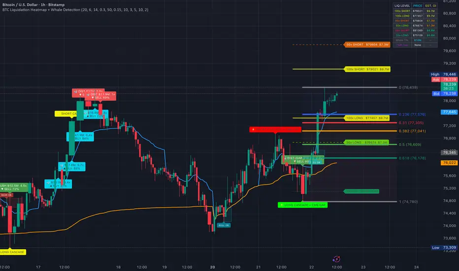 CTZ BTC Liquidation Heatmap with Whale Detection— Indicateur par ...