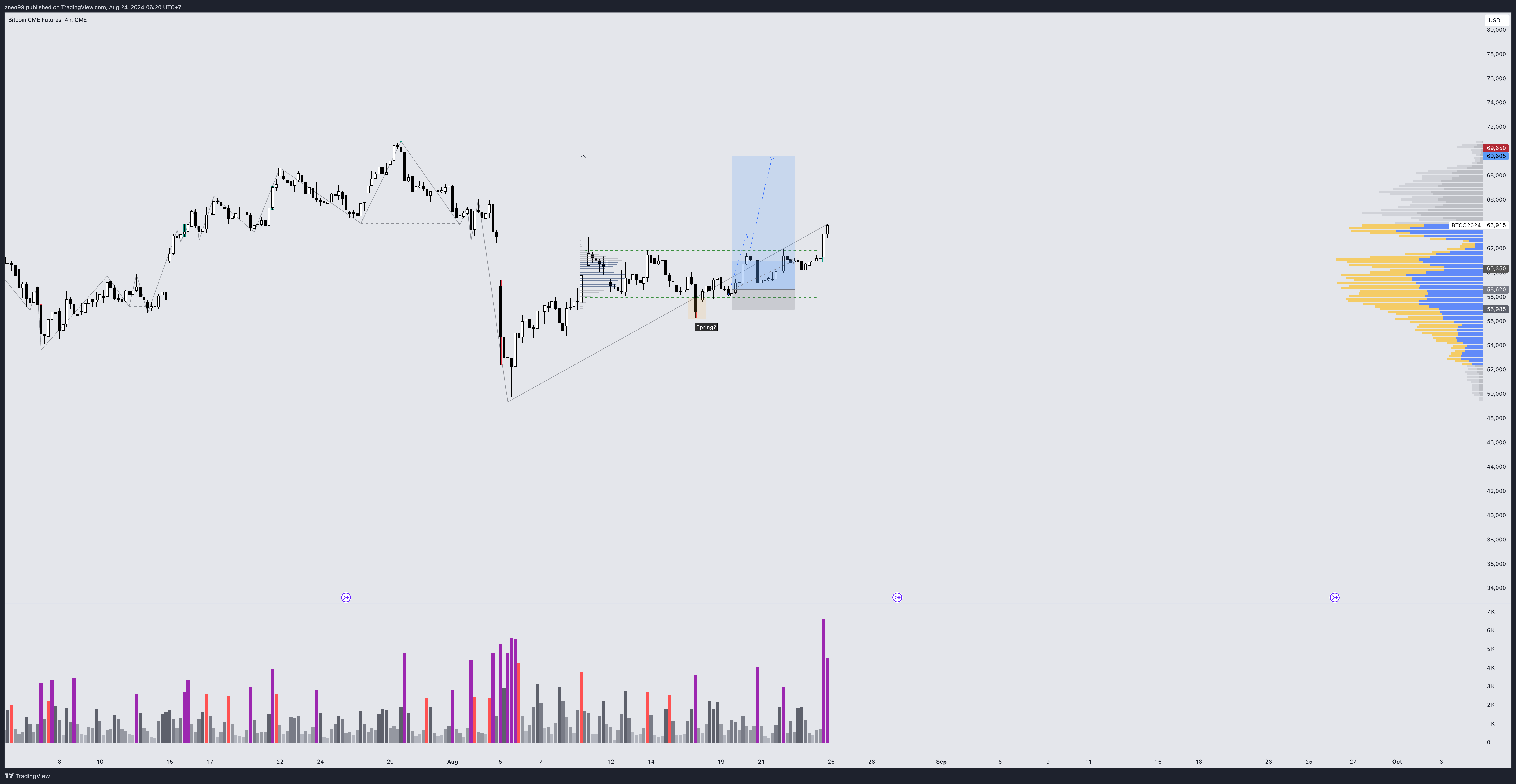 Immagine del grafico CME:BTC1! di zneo99