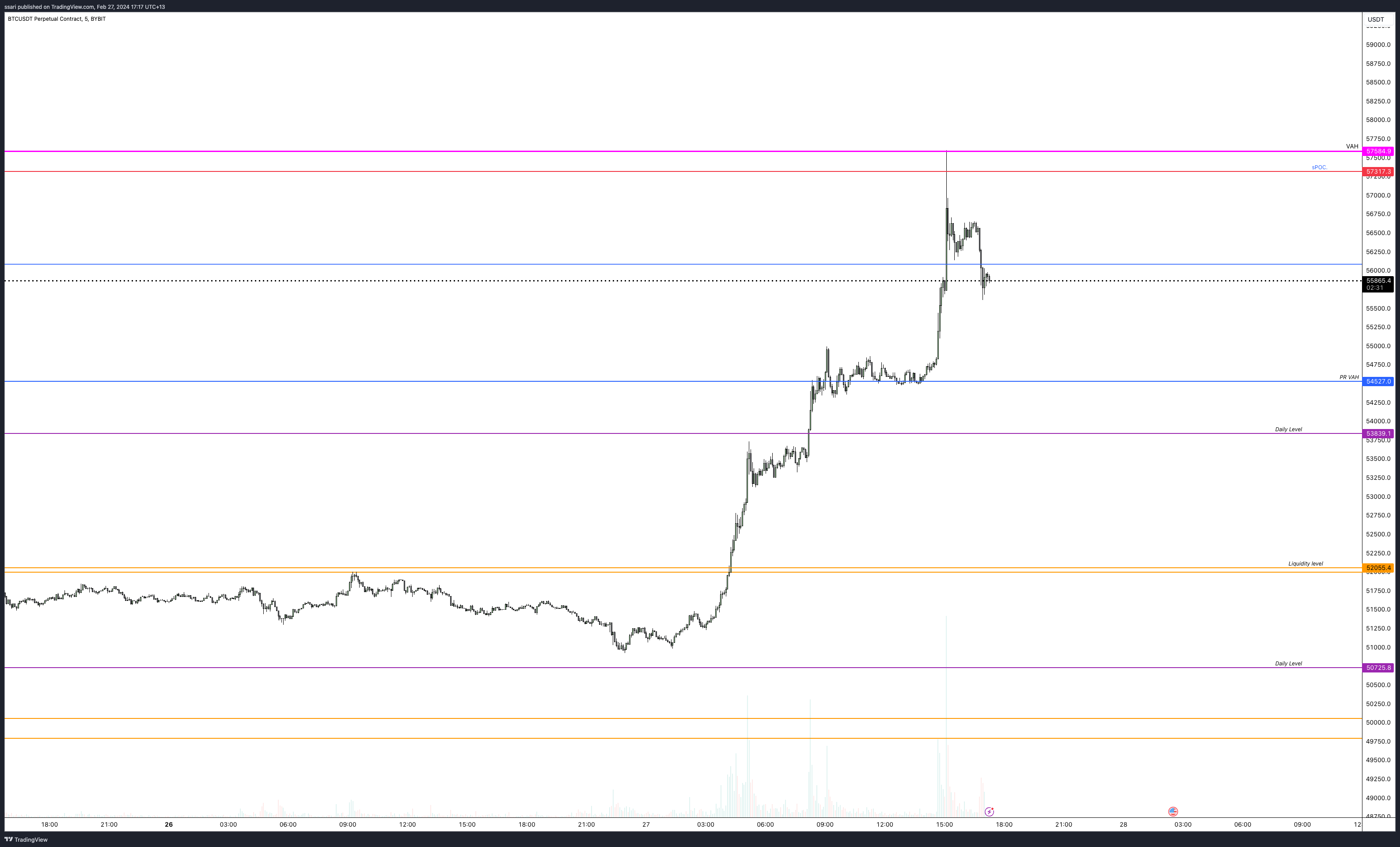 BYBIT:BTCUSDT.P Chart Image by ssari