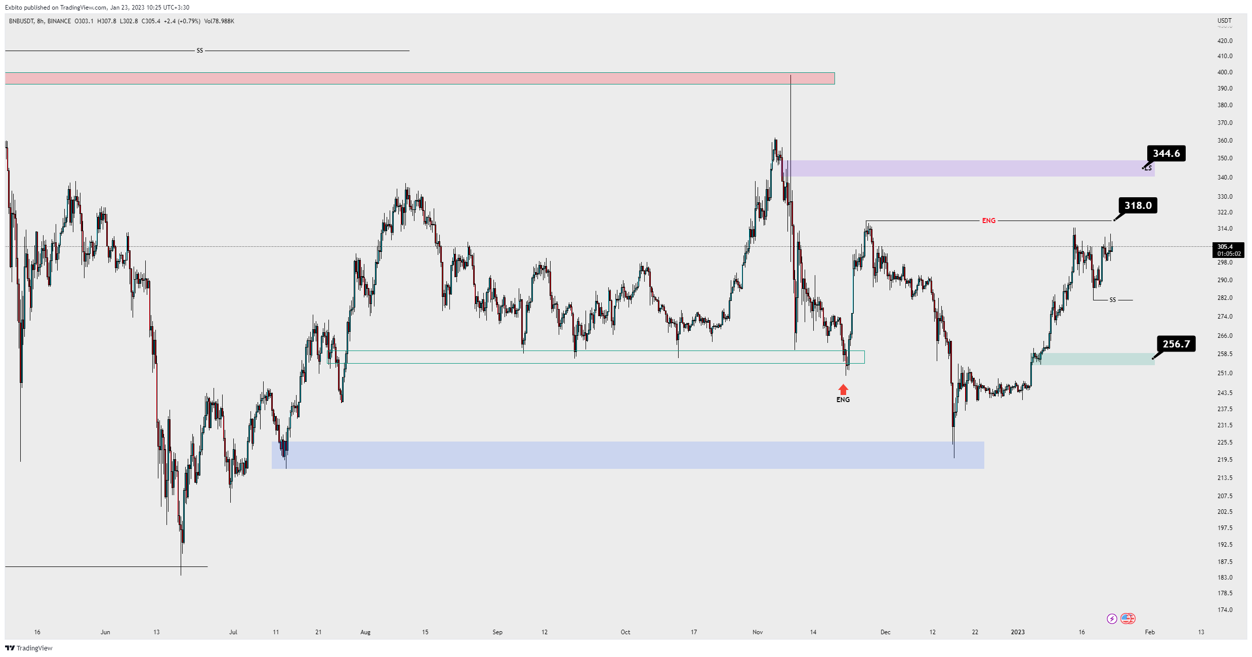 BINANCE:BNBUSDT Chart Image by UnknownUnicorn13378620