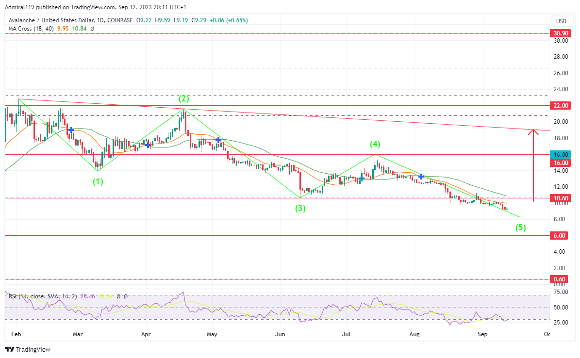 Surge in Development Activity Prepares Avalanche for Next Bull Market