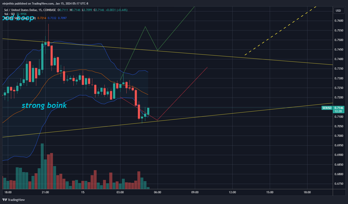 Imej Carta COINBASE:SEIUSD oleh ninjethix