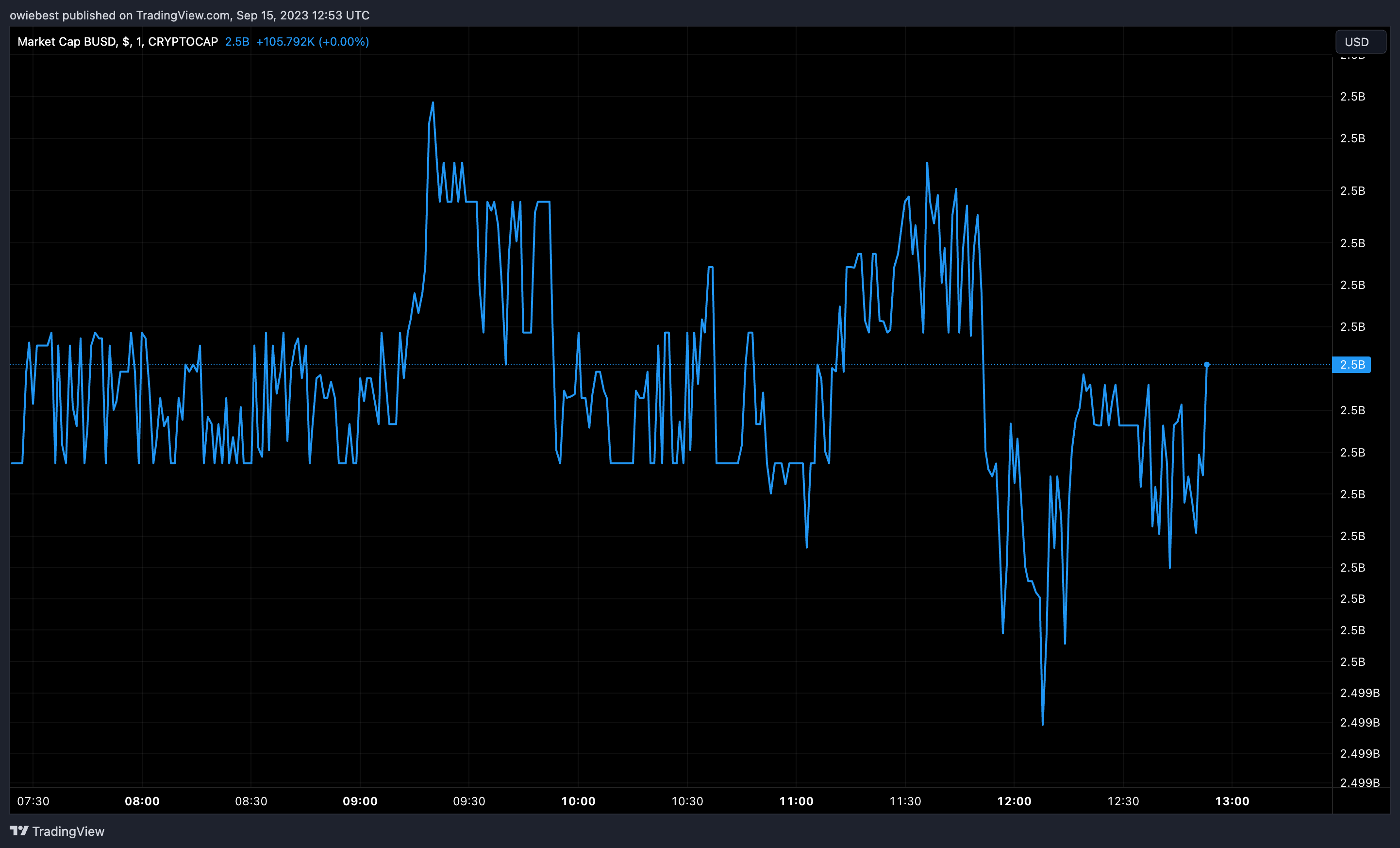 Immagine del grafico CRYPTOCAP:BUSD di owiebest