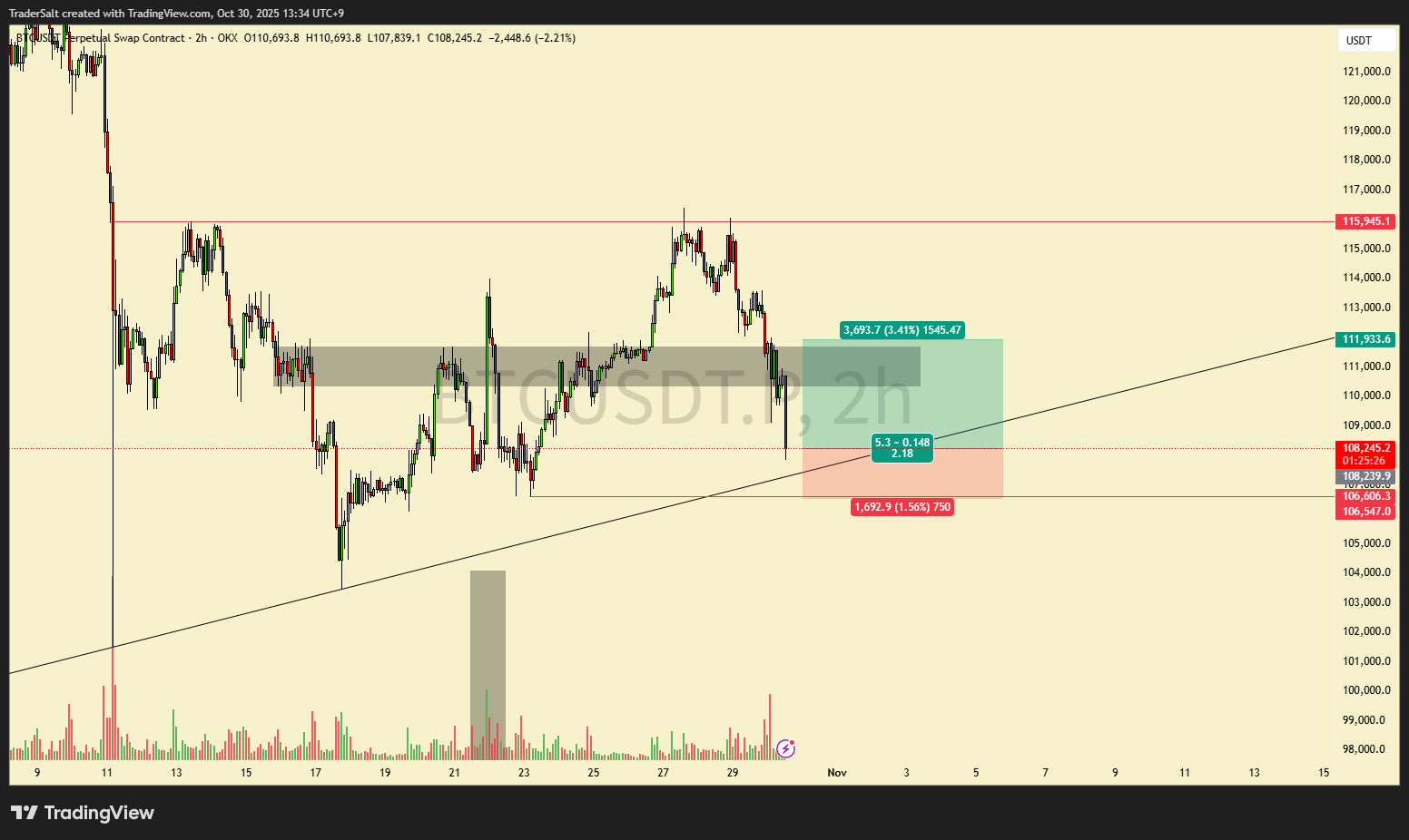 OKX:BTCUSDT.P Chart Image by TraderSalt — TradingView