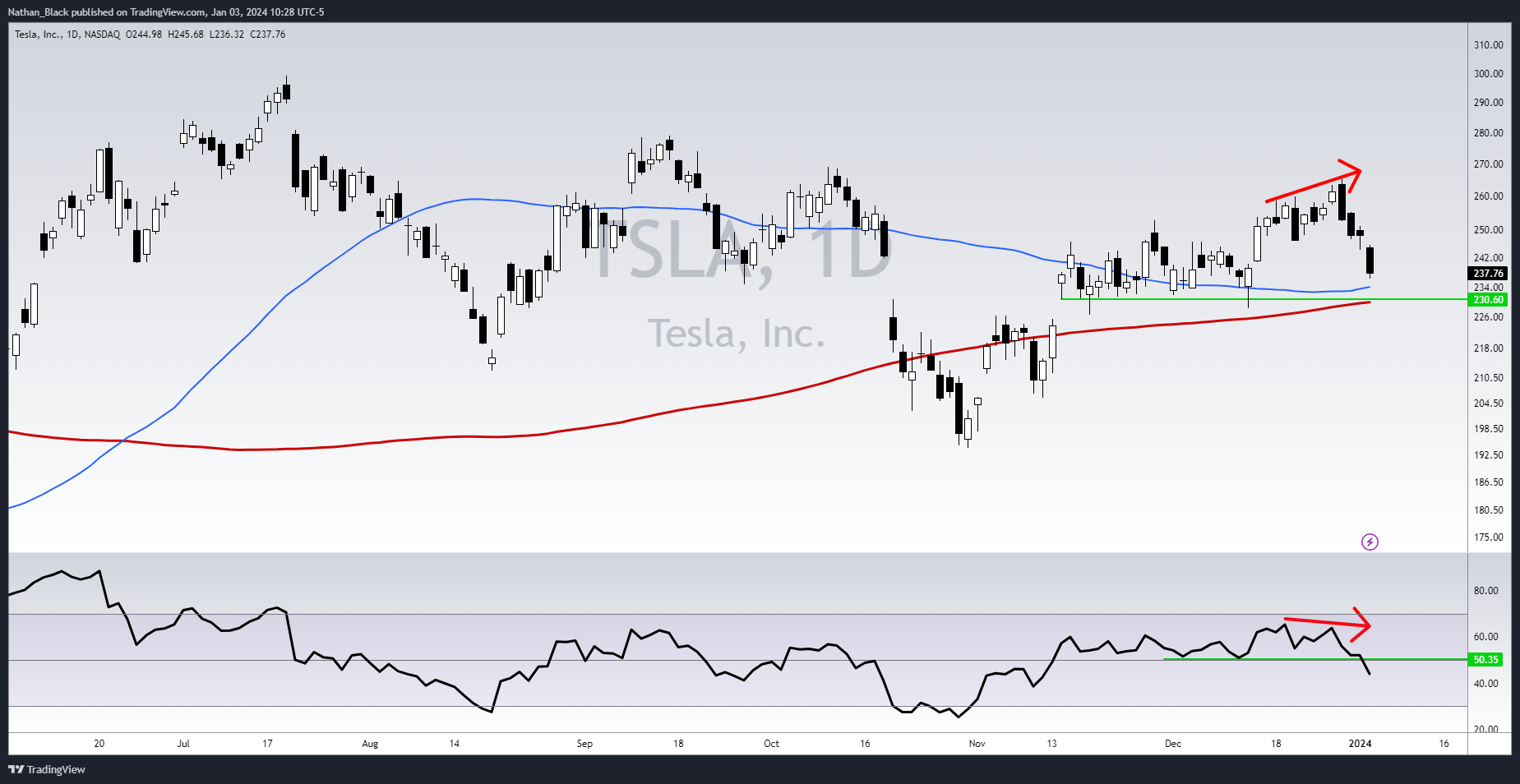 Nathan_Black 의 BATS:TSLA 차트 이미지