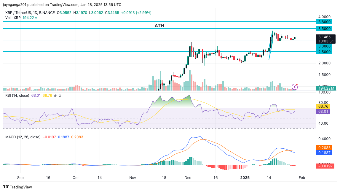 Imej Carta BINANCE:XRPUSDT oleh joynganga201