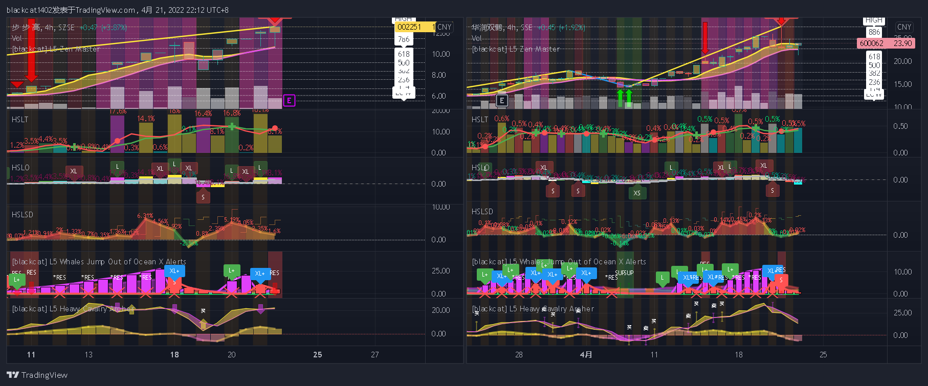 SSE:600062 Chart Image by blackcat1402