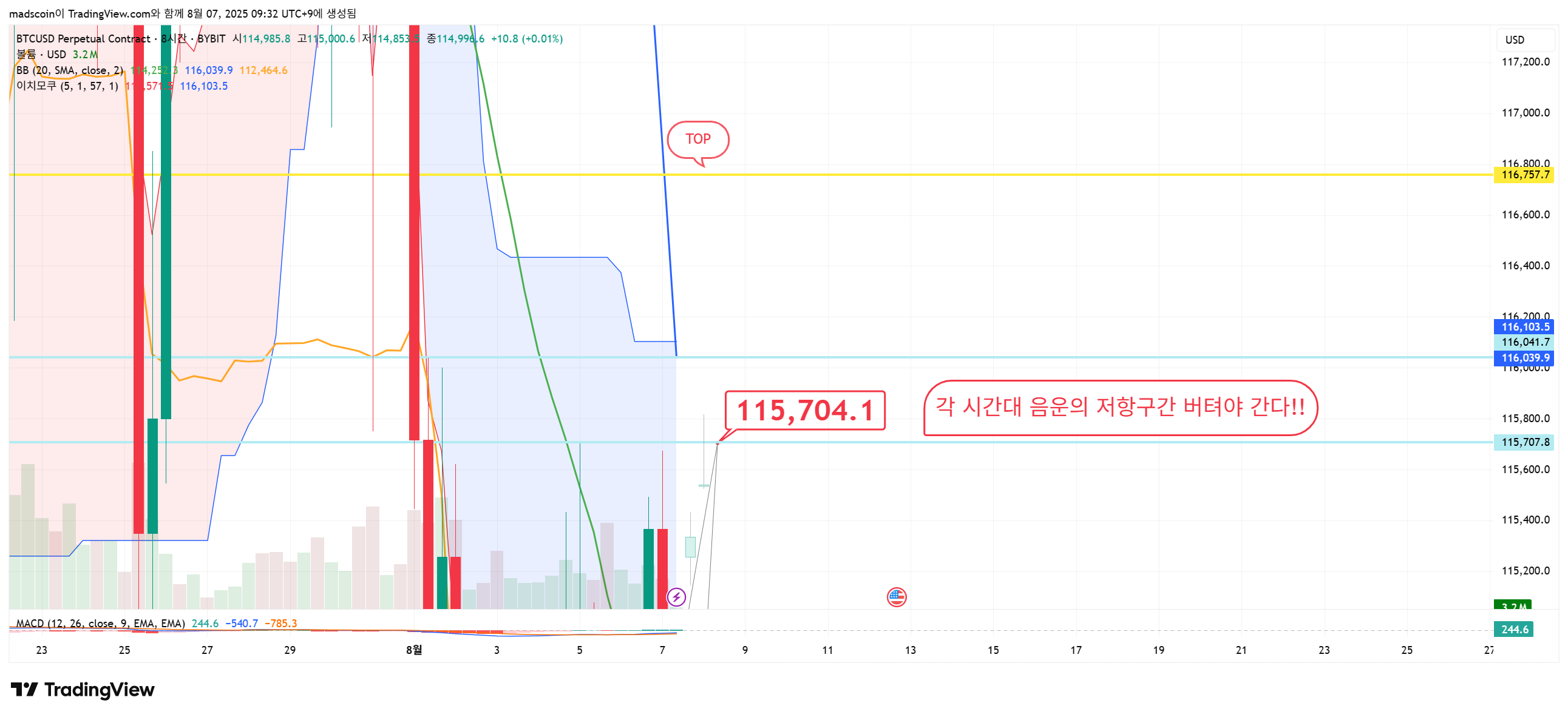 BYBIT:BTCUSD.P Chart Image by madscoin
